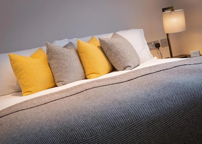 31号旅馆 招待所 都柏林